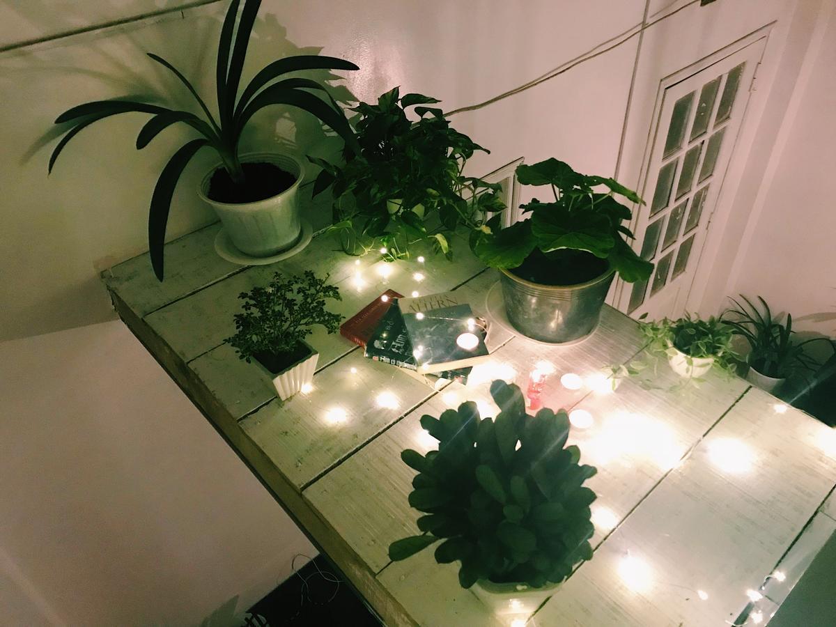 The Balcony Bnb Đà Lạt Extérieur photo